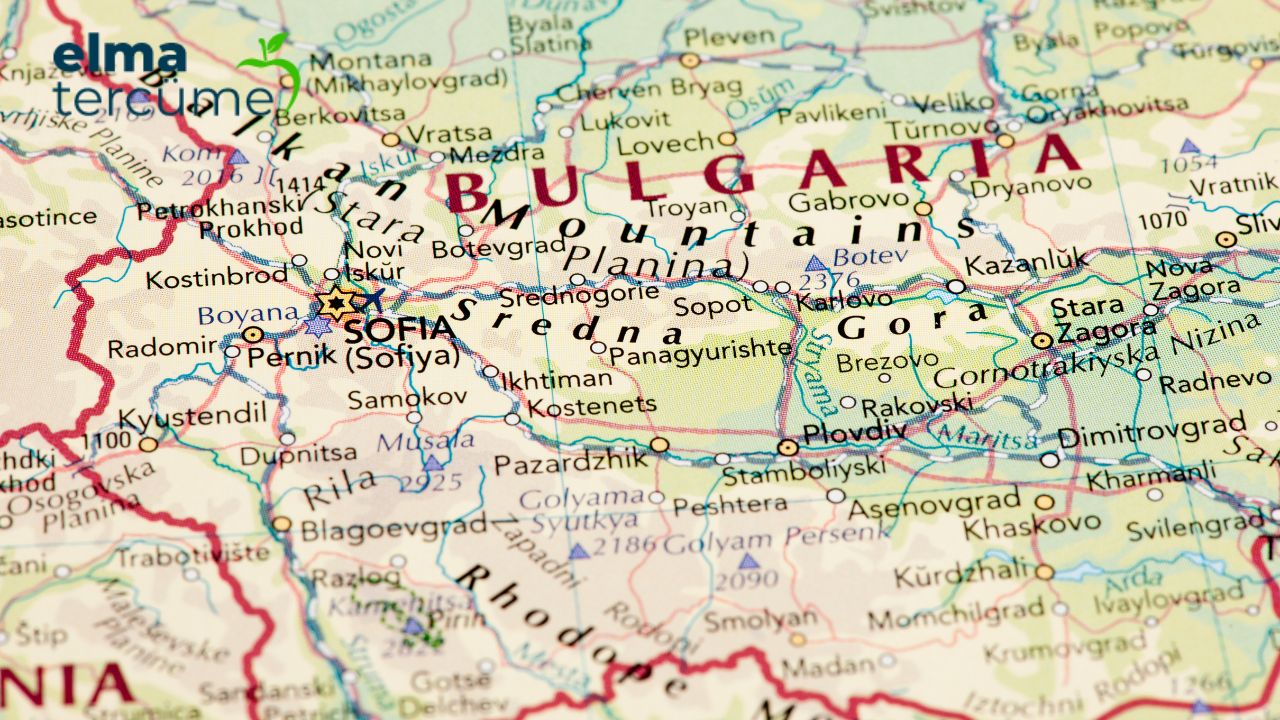 Bulgarca Finansal Tercüme