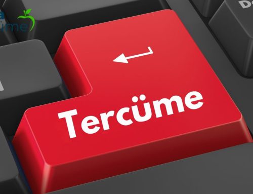 Flemenkçe Tercüme