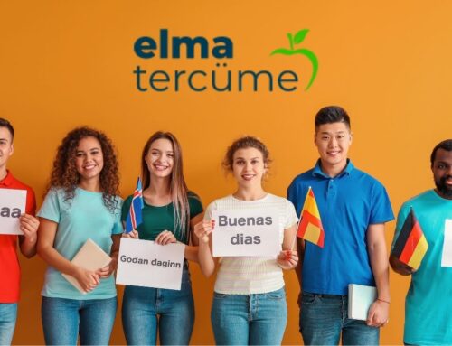 Kadıköy Tercüme Bürosu